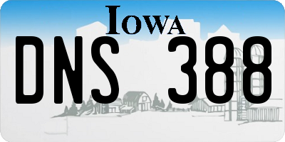 IA license plate DNS388
