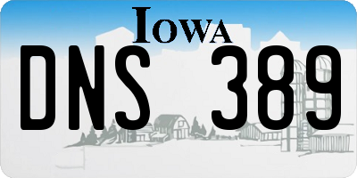 IA license plate DNS389