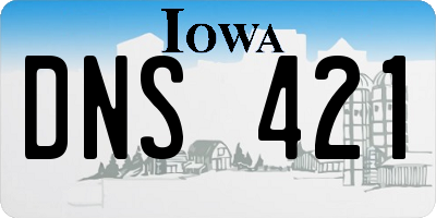 IA license plate DNS421