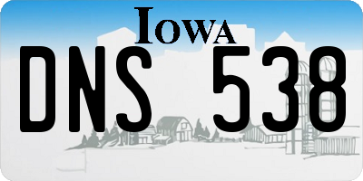IA license plate DNS538