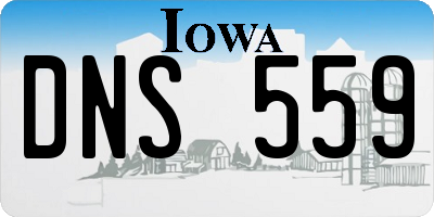 IA license plate DNS559