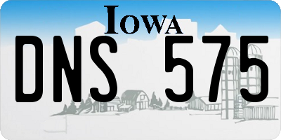 IA license plate DNS575