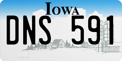 IA license plate DNS591