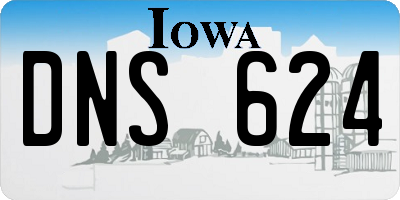 IA license plate DNS624
