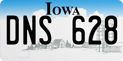 IA license plate DNS628