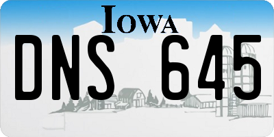 IA license plate DNS645