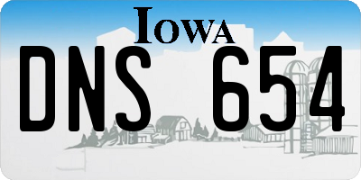 IA license plate DNS654