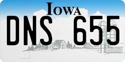 IA license plate DNS655