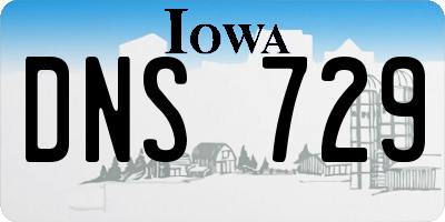 IA license plate DNS729