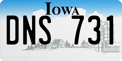IA license plate DNS731