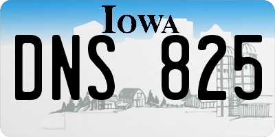 IA license plate DNS825