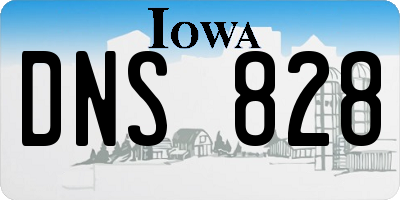 IA license plate DNS828