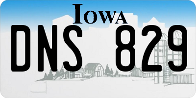 IA license plate DNS829