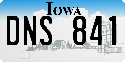 IA license plate DNS841