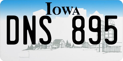 IA license plate DNS895
