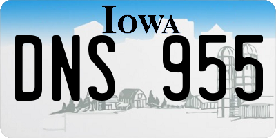 IA license plate DNS955