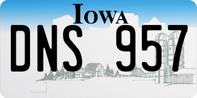 IA license plate DNS957