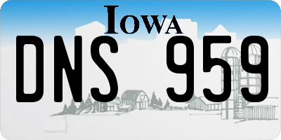 IA license plate DNS959