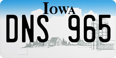 IA license plate DNS965
