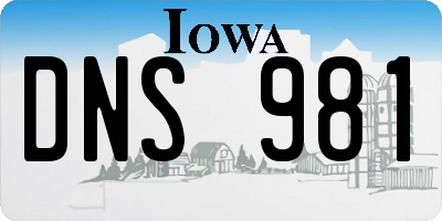 IA license plate DNS981