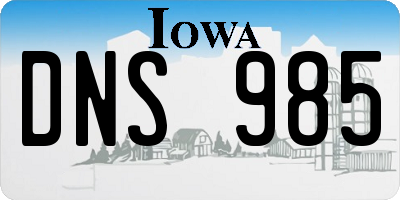IA license plate DNS985