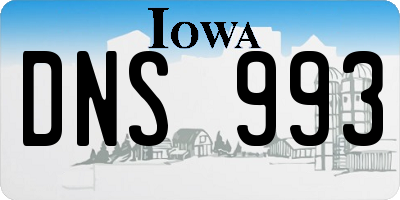 IA license plate DNS993