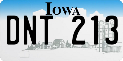 IA license plate DNT213