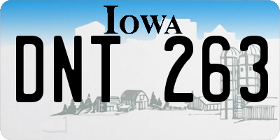 IA license plate DNT263