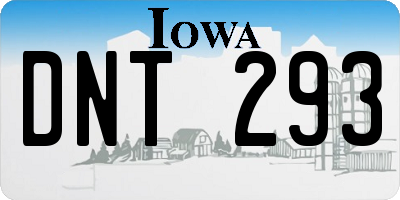 IA license plate DNT293