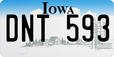 IA license plate DNT593