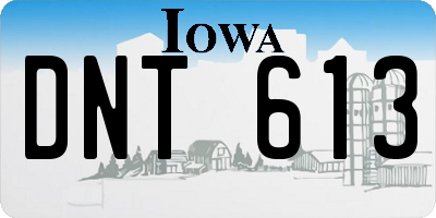 IA license plate DNT613