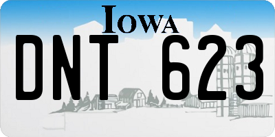 IA license plate DNT623