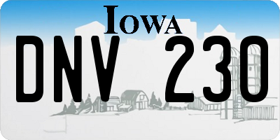 IA license plate DNV230