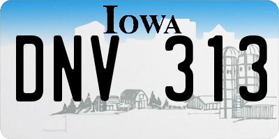 IA license plate DNV313