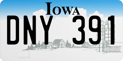 IA license plate DNY391