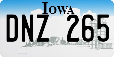 IA license plate DNZ265
