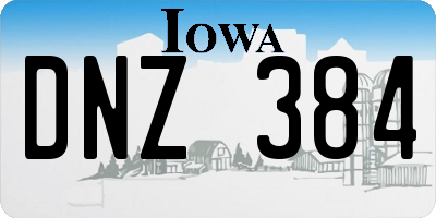 IA license plate DNZ384