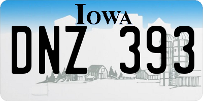 IA license plate DNZ393