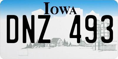 IA license plate DNZ493
