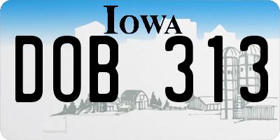 IA license plate DOB313