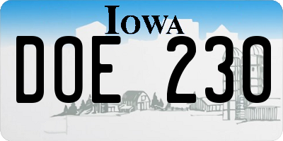 IA license plate DOE230