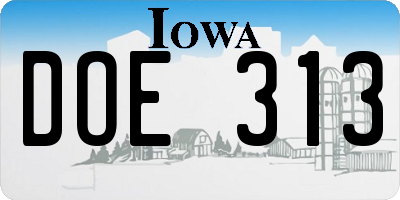 IA license plate DOE313