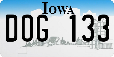 IA license plate DOG133