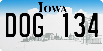 IA license plate DOG134