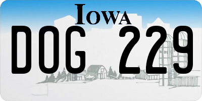 IA license plate DOG229