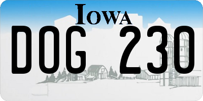 IA license plate DOG230