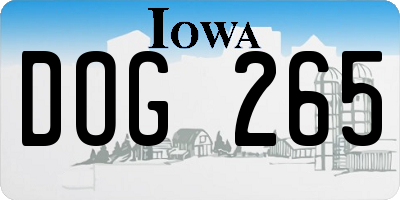 IA license plate DOG265