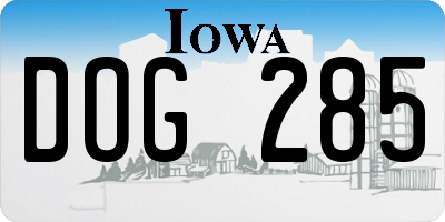 IA license plate DOG285