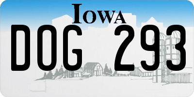 IA license plate DOG293