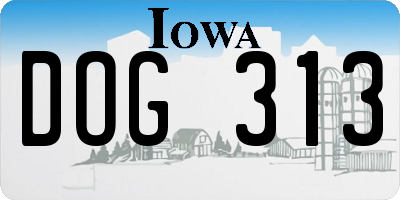 IA license plate DOG313